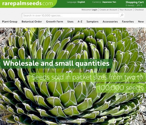 Rare Palm Seeds